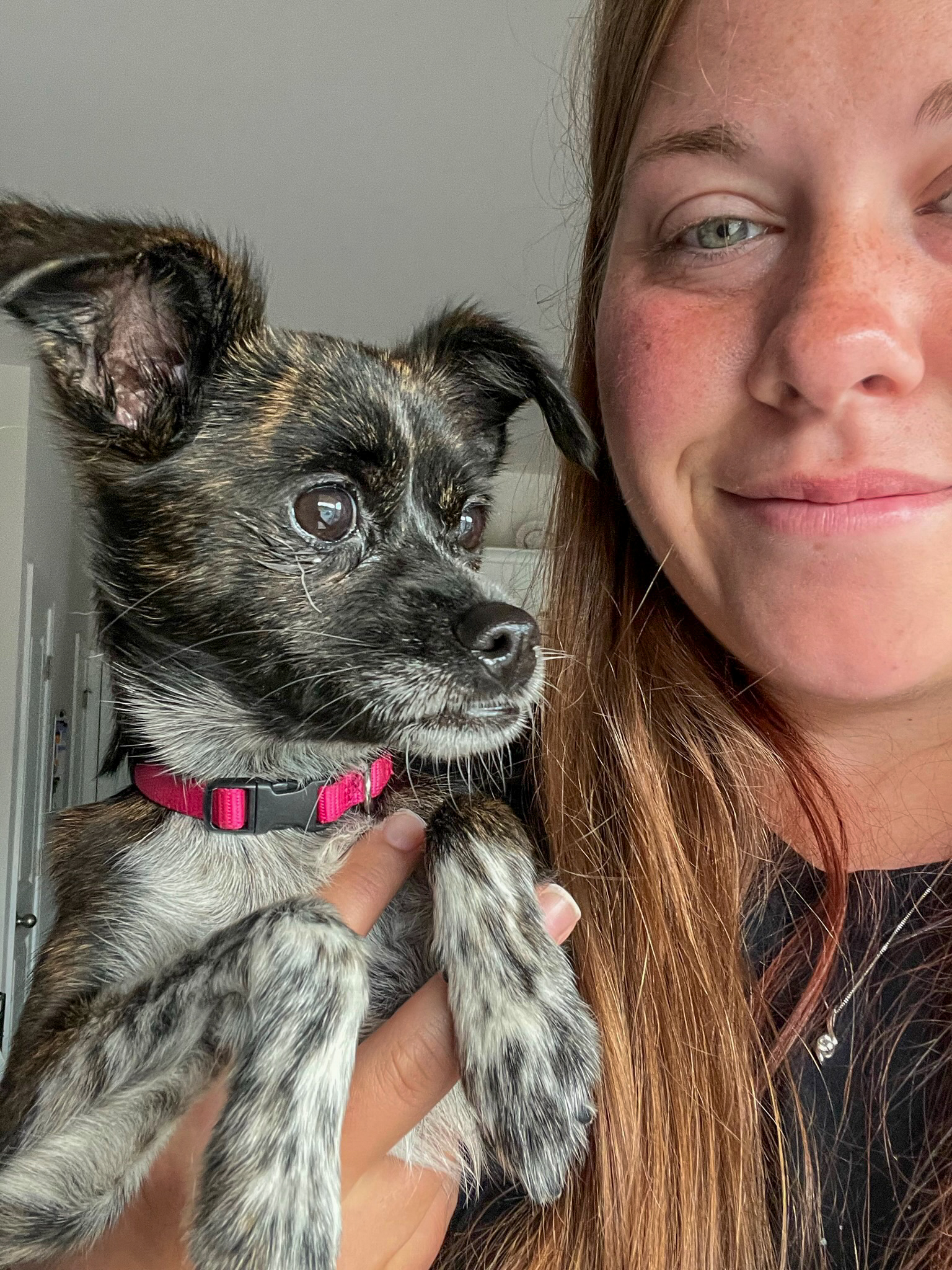 Furry friend getting love